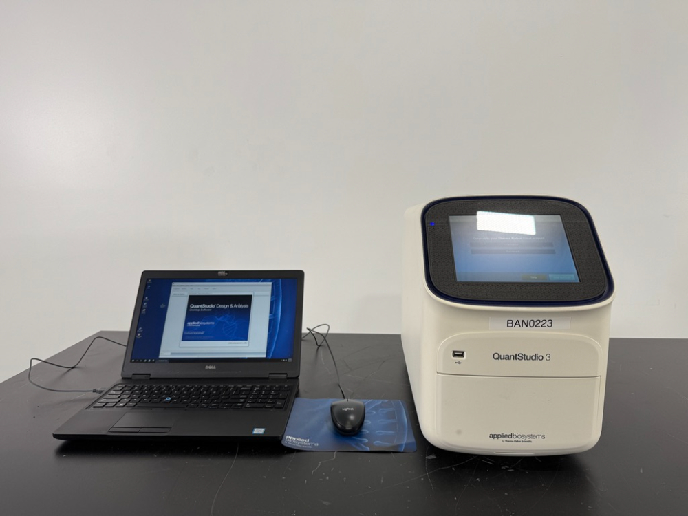 Image of Applied Biosystems QuantStudio 3 Real Time PCR System